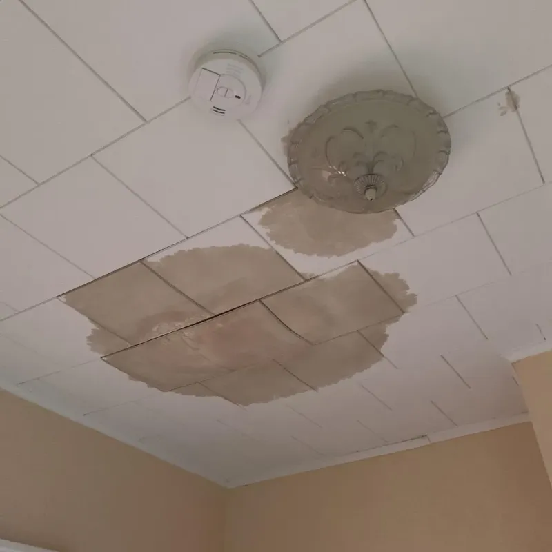 Ceiling Water Damage Repair in West Glendive, MT