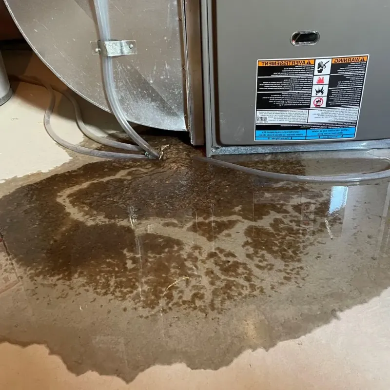 Pipe Burst and Leak Restoration in West Glendive, MT