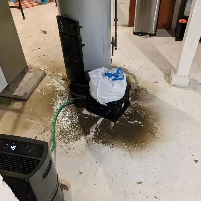Sewage Backup Cleanup Service in West Glendive, MT